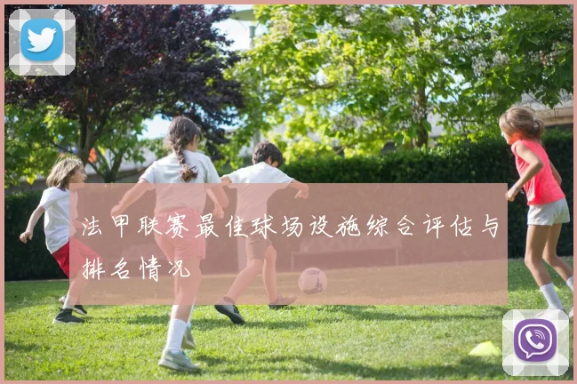 法甲联赛最佳球场设施综合评估与排名情况