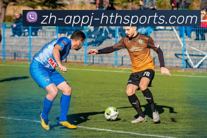 华体会hth发展历程